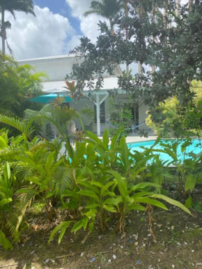 Nogent Sainte-rose: Villa avec piscine privée